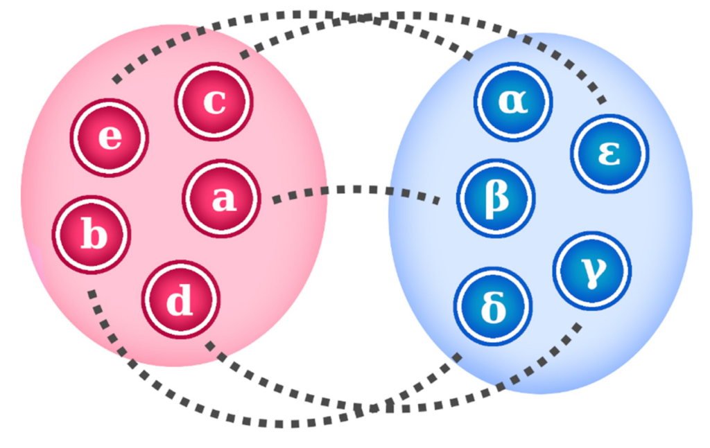 Diagrama de dos conjuntos equipotentes unidos por una biyección